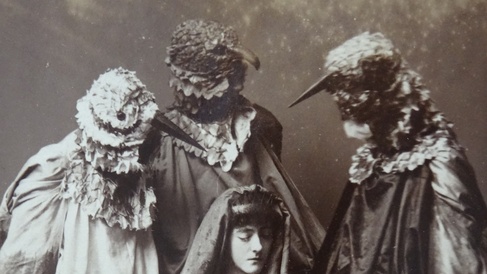 Black and white photo of The Birds 1903