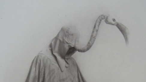 Flamingo from the Birds 1924